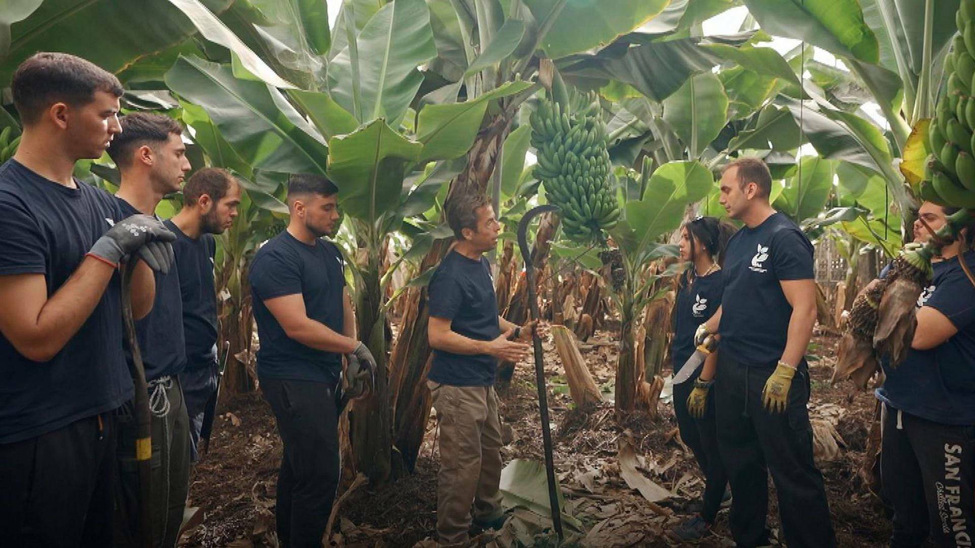 Yo soy de... (T2): Galicia