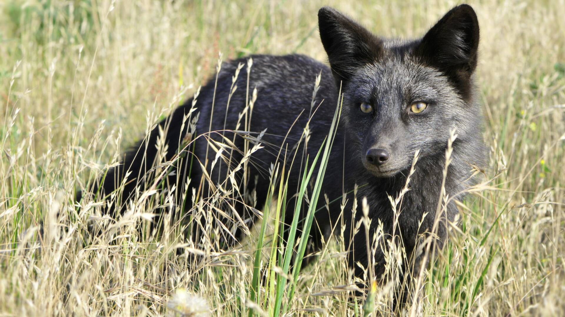 Jara y sedal (T25/26): Agricultura y medioambiente