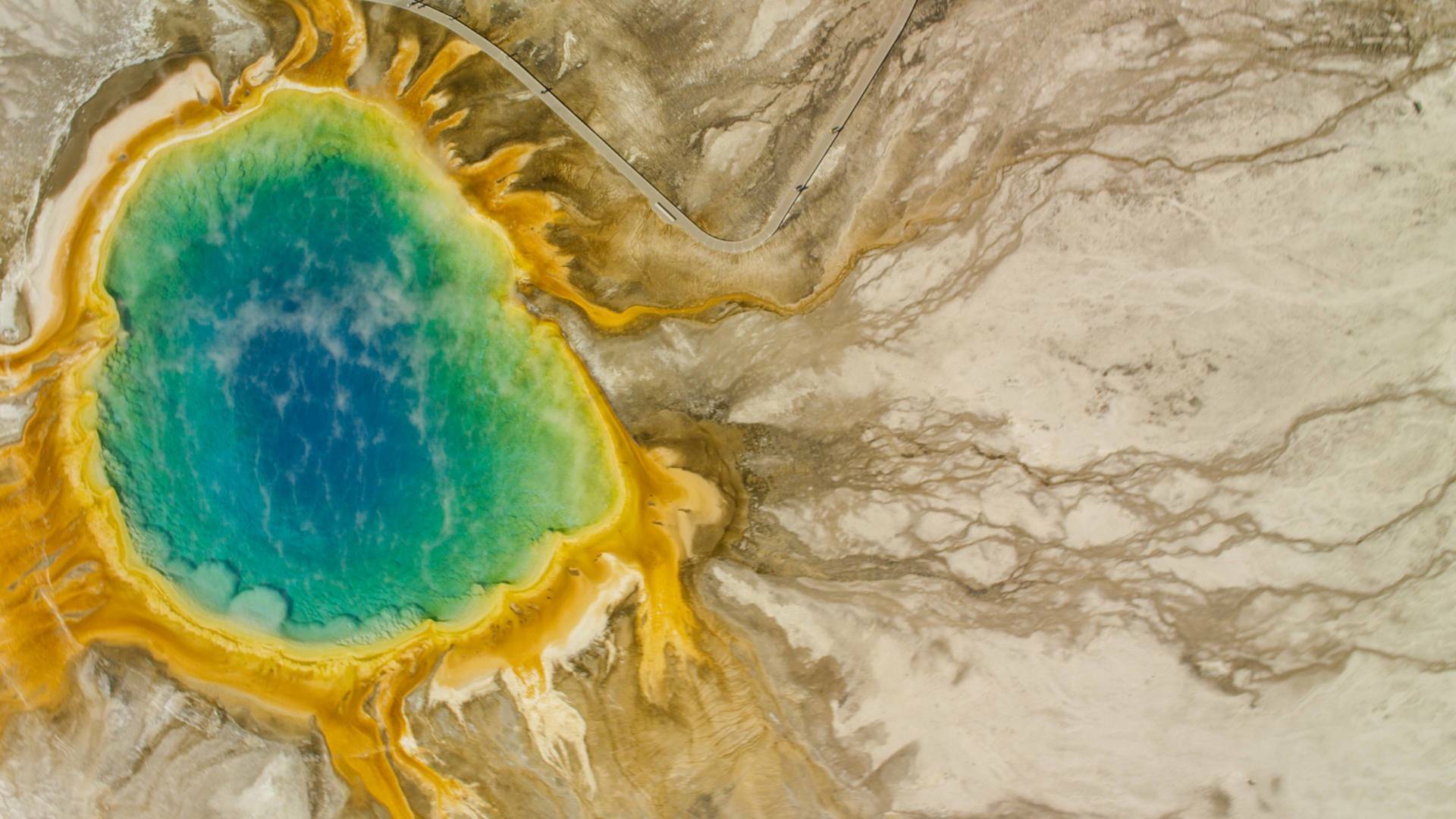 Diarios de Yellowstone: Otoño