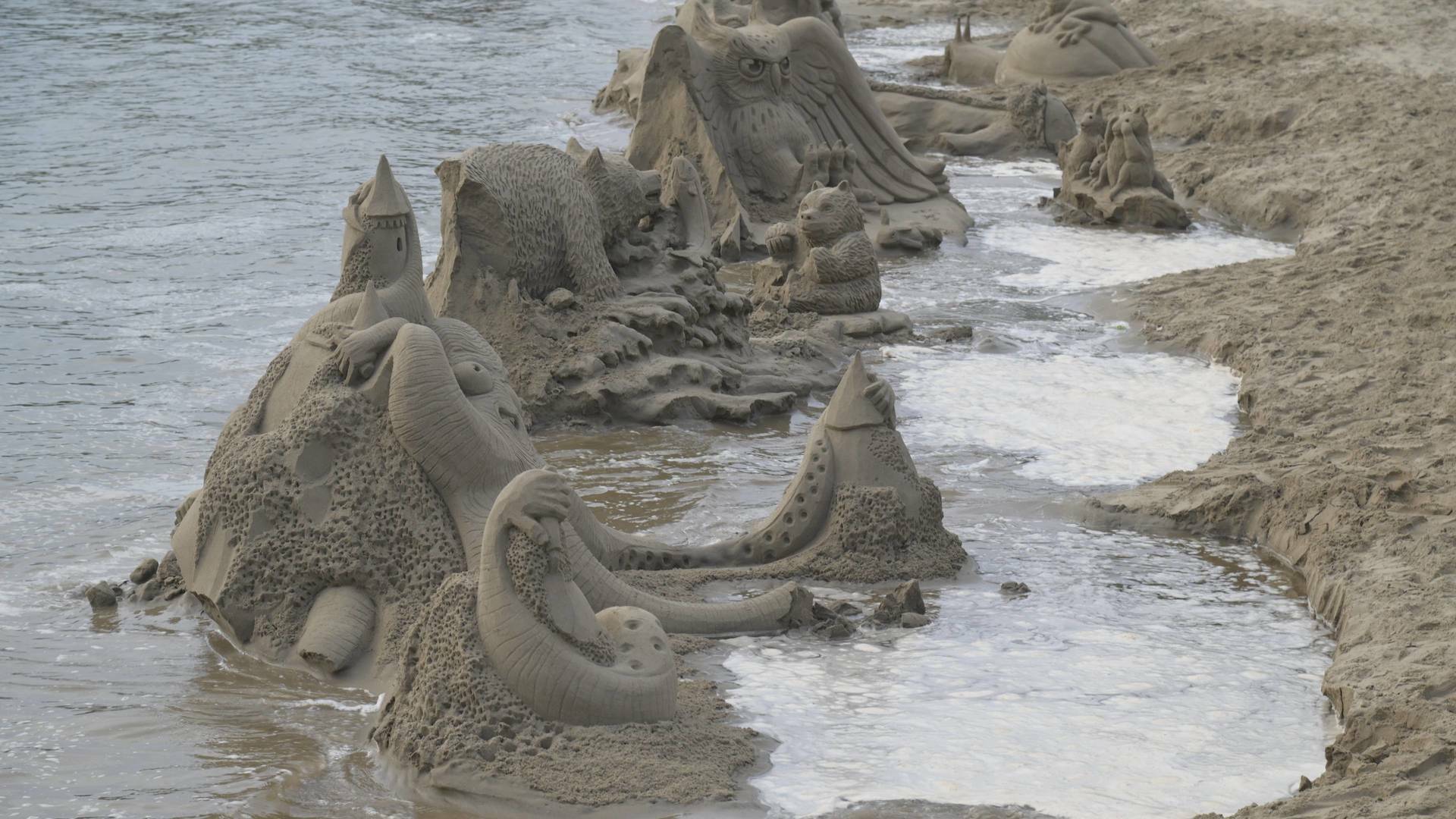 Desafío en la arena