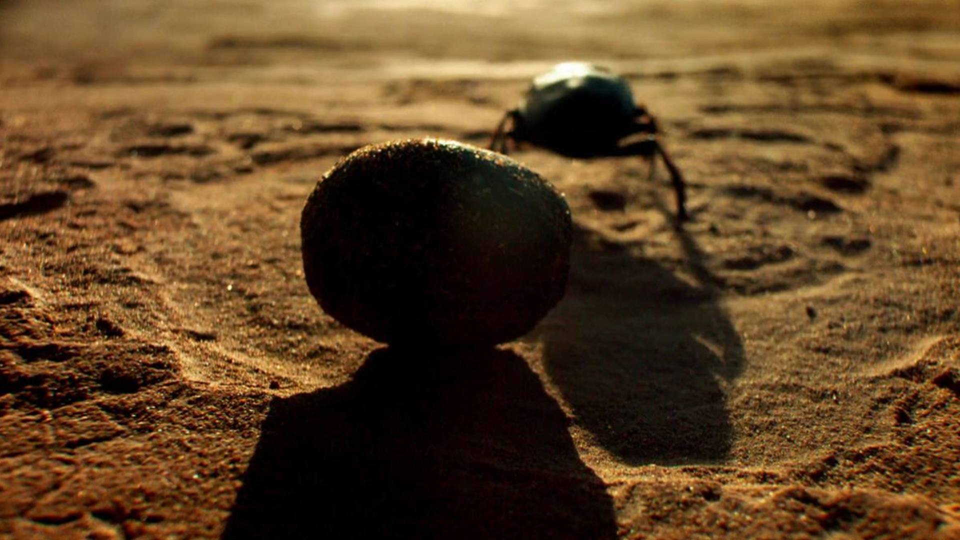 Nuestro planeta (One...: Supervivencia