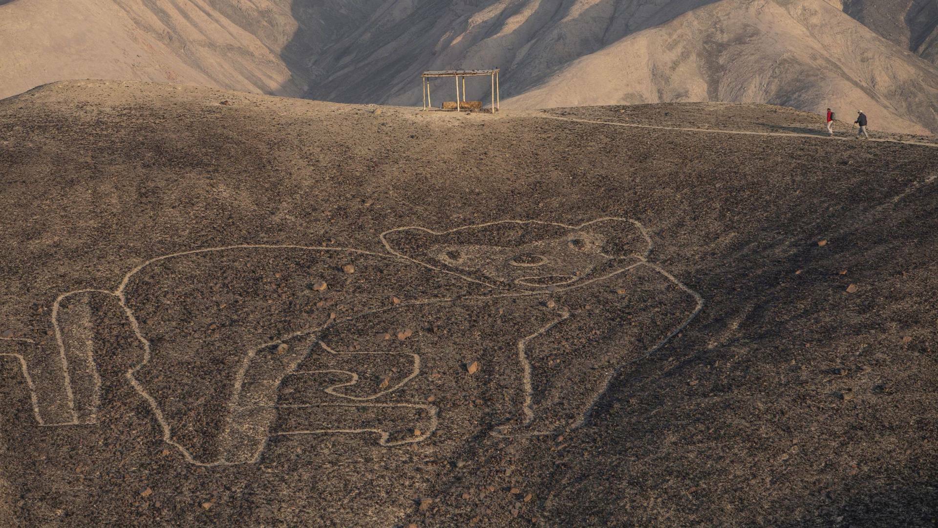 Las líneas de Nazca