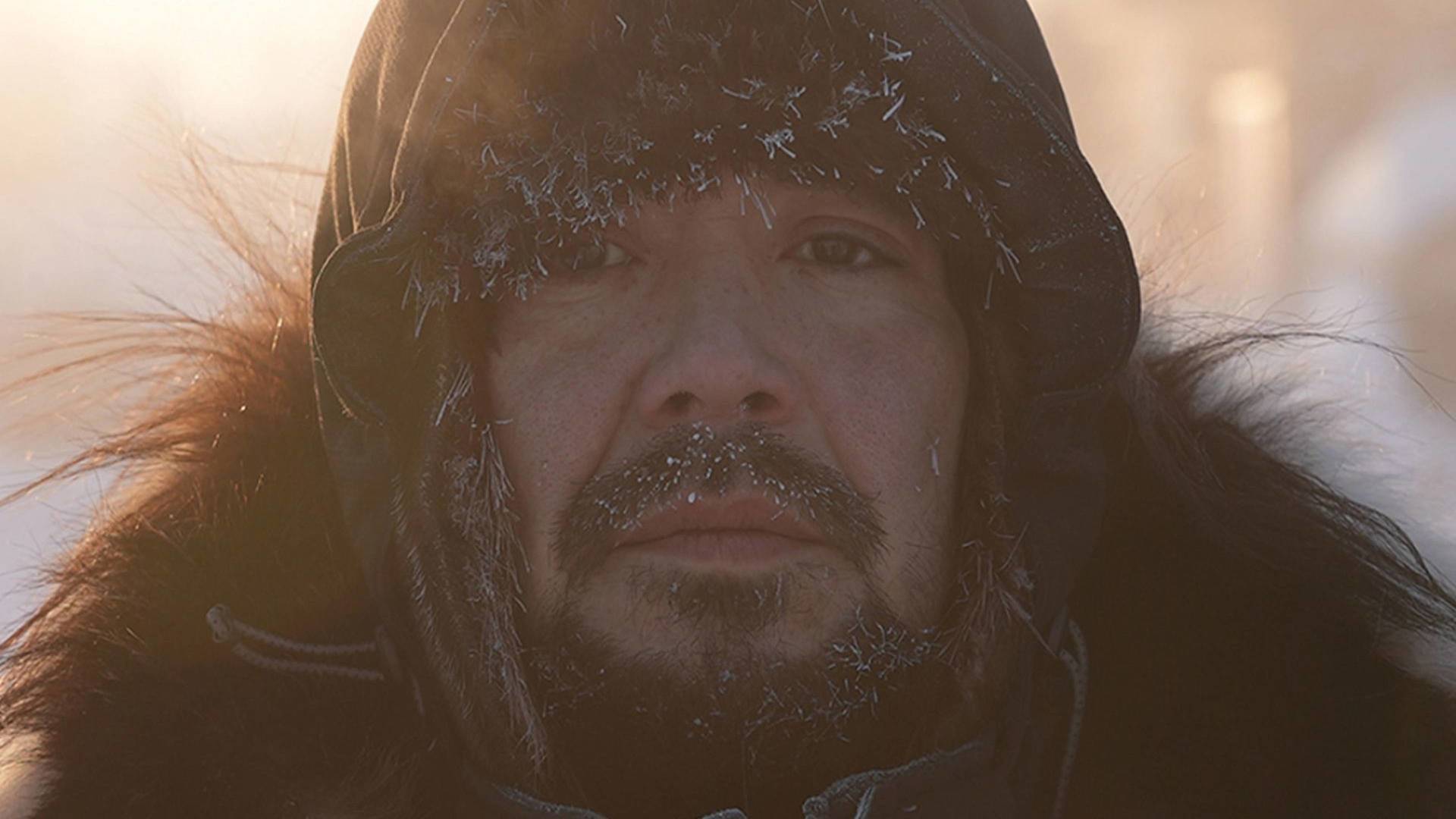 Los primeros...: Se lo llevó el lobo