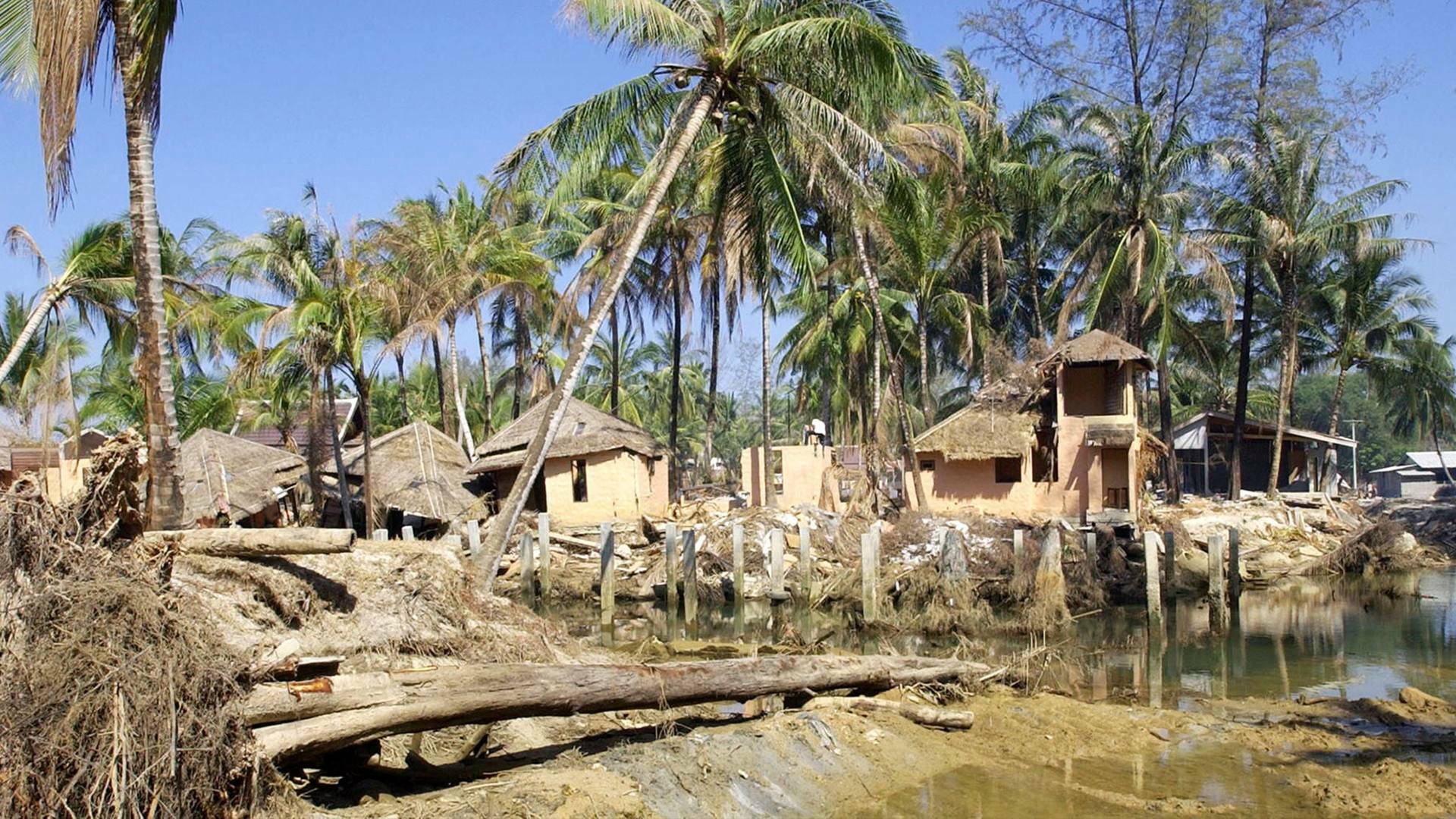 Tsunami: La carrera...: Tailandia