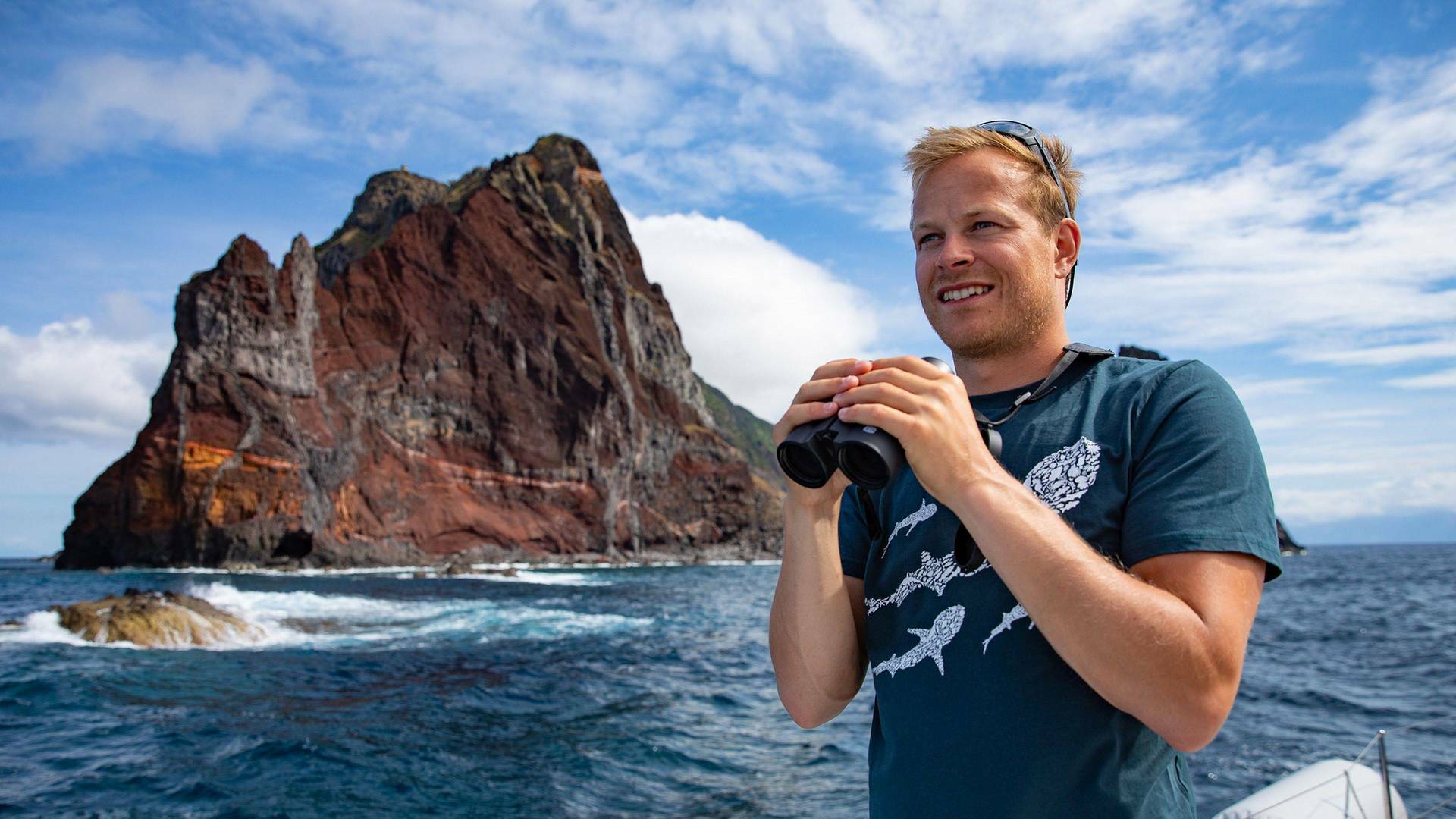 Delfines en primer plano con Bertie Gregory