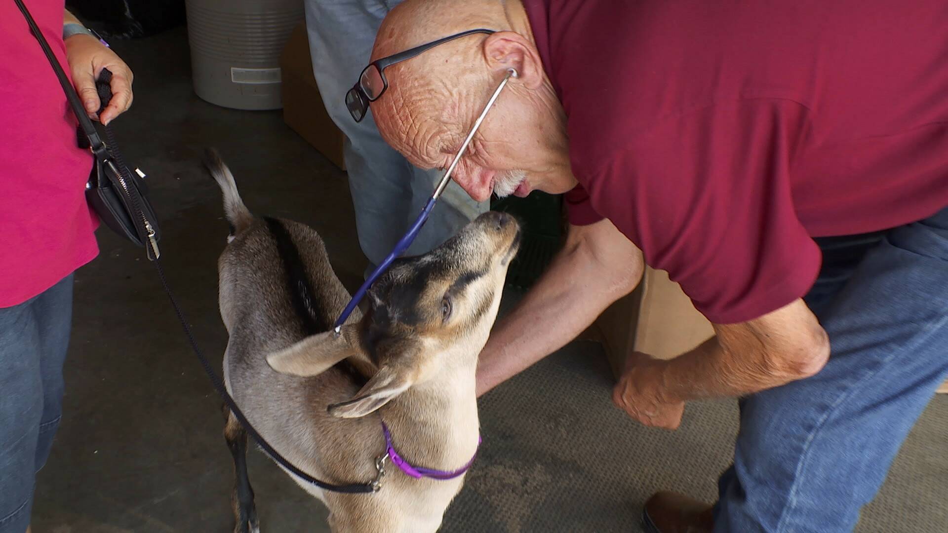 El increíble doctor Pol: Feliz Navidad