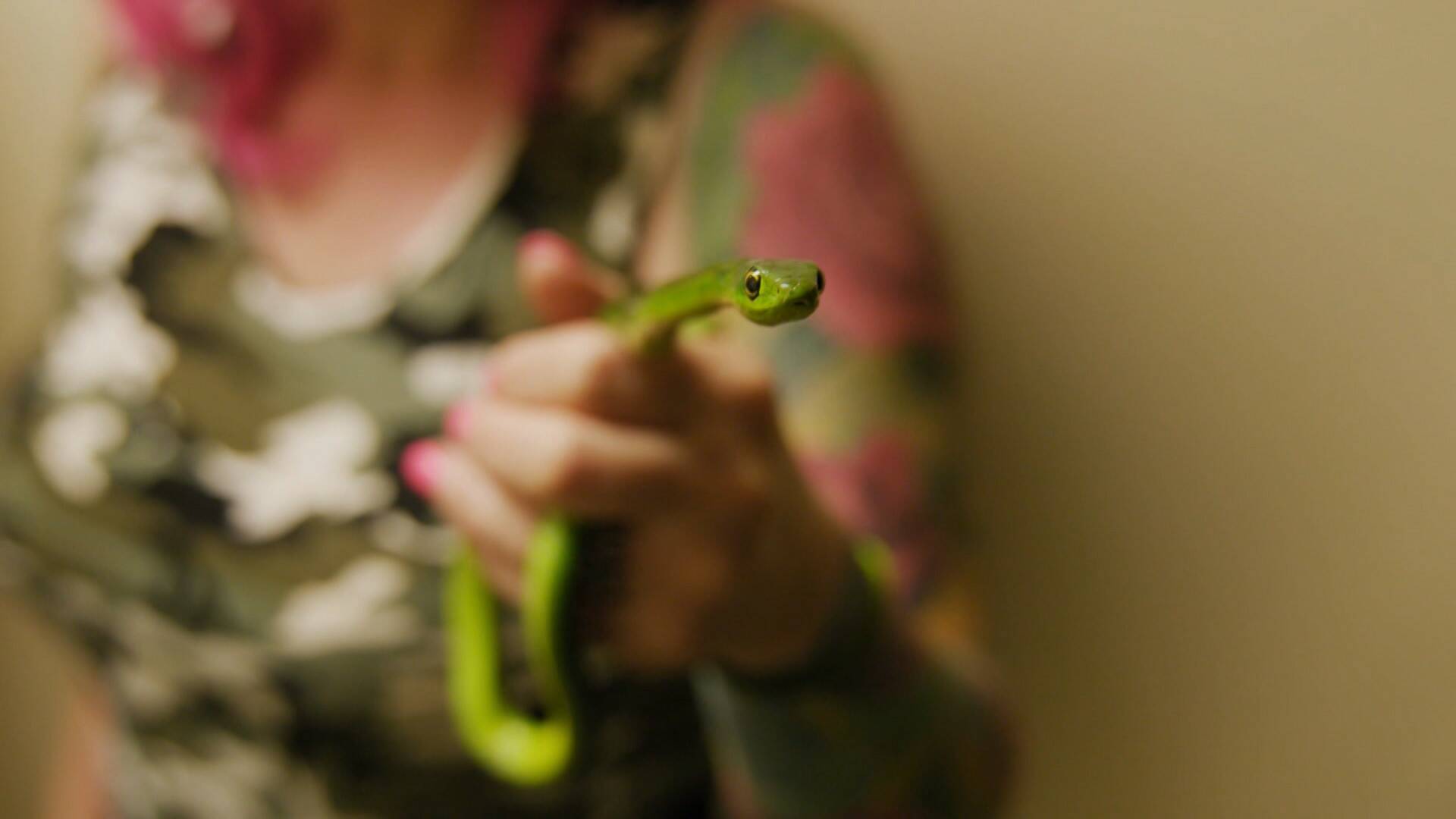 Serpientes de la ciudad: La dama y la mamba