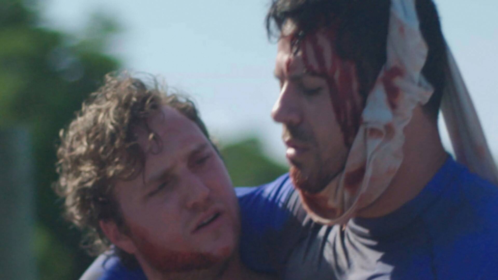 ¿Qué bicho me ha picado?: Todo se volvió oscuro...