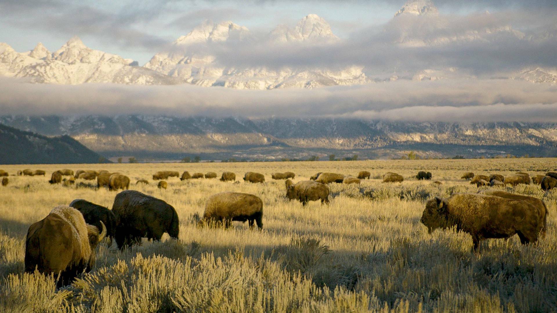 Parques Nacionales de...: Badlands