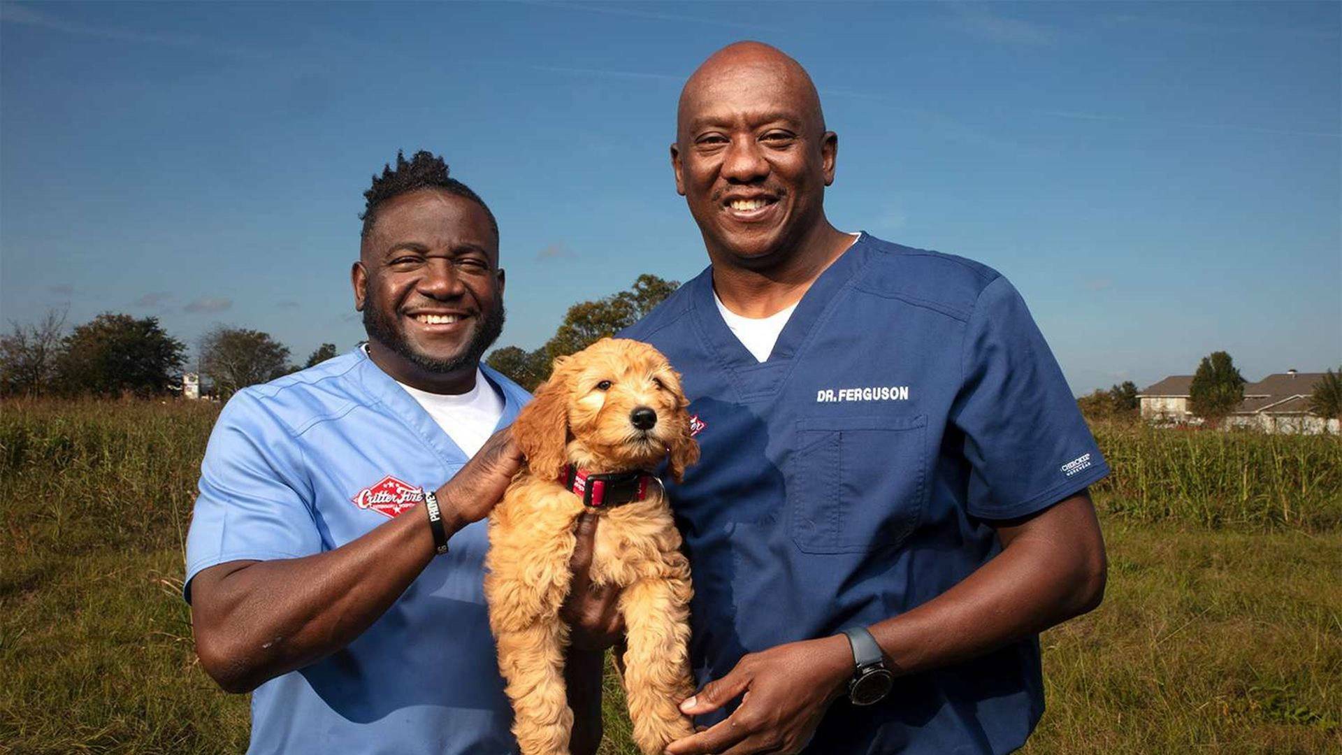 Critter fixers:...: Veterinario por un día