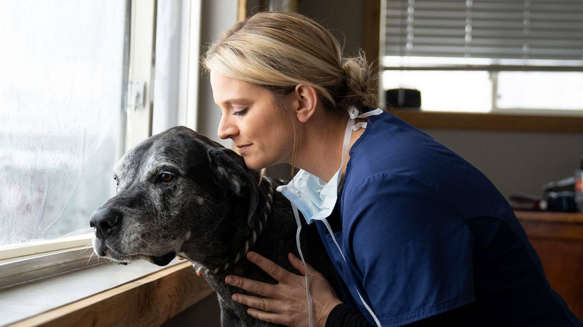 Veterinarios de... (T3): El águila ha aterrizado