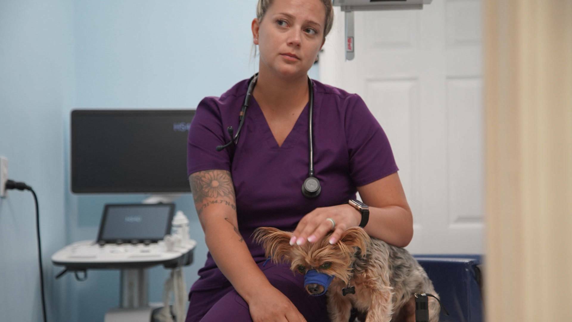 Critter fixers:...: La llave de la ciudad