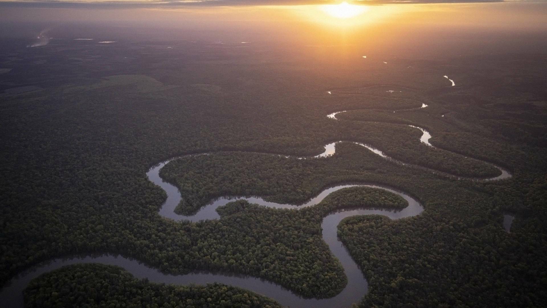 Amazonia americana