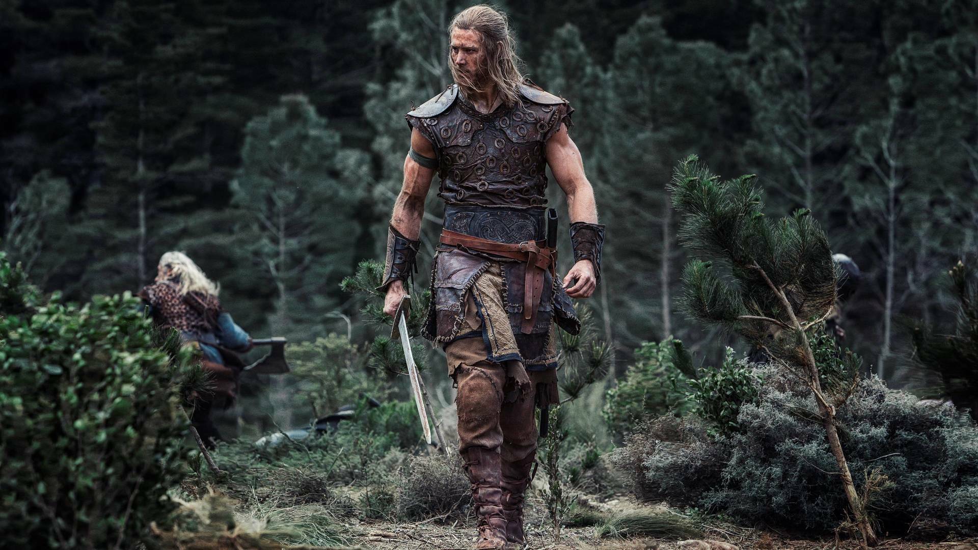 Northmen. Los vikingos