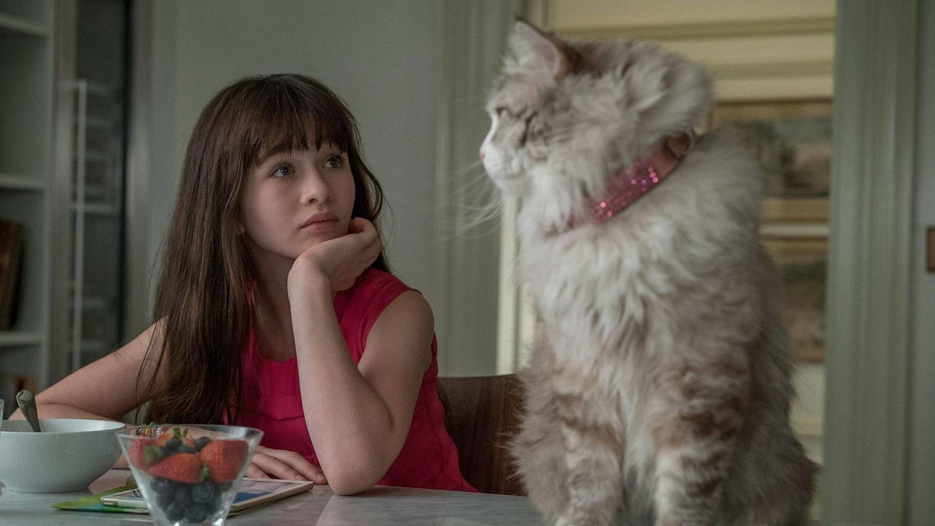 Siete vidas: Este gato es un peligro