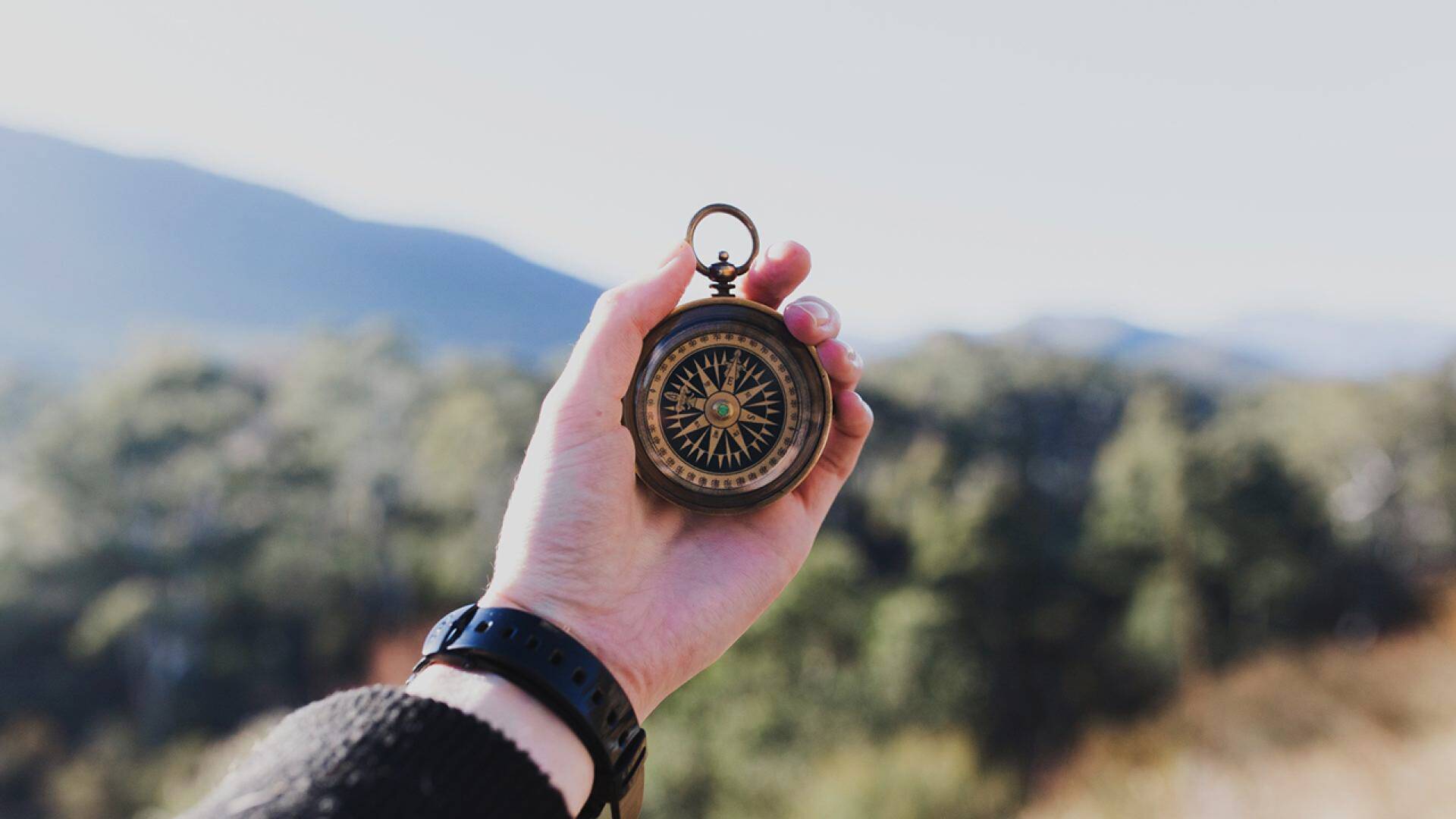 Superliga Bunny (T2)