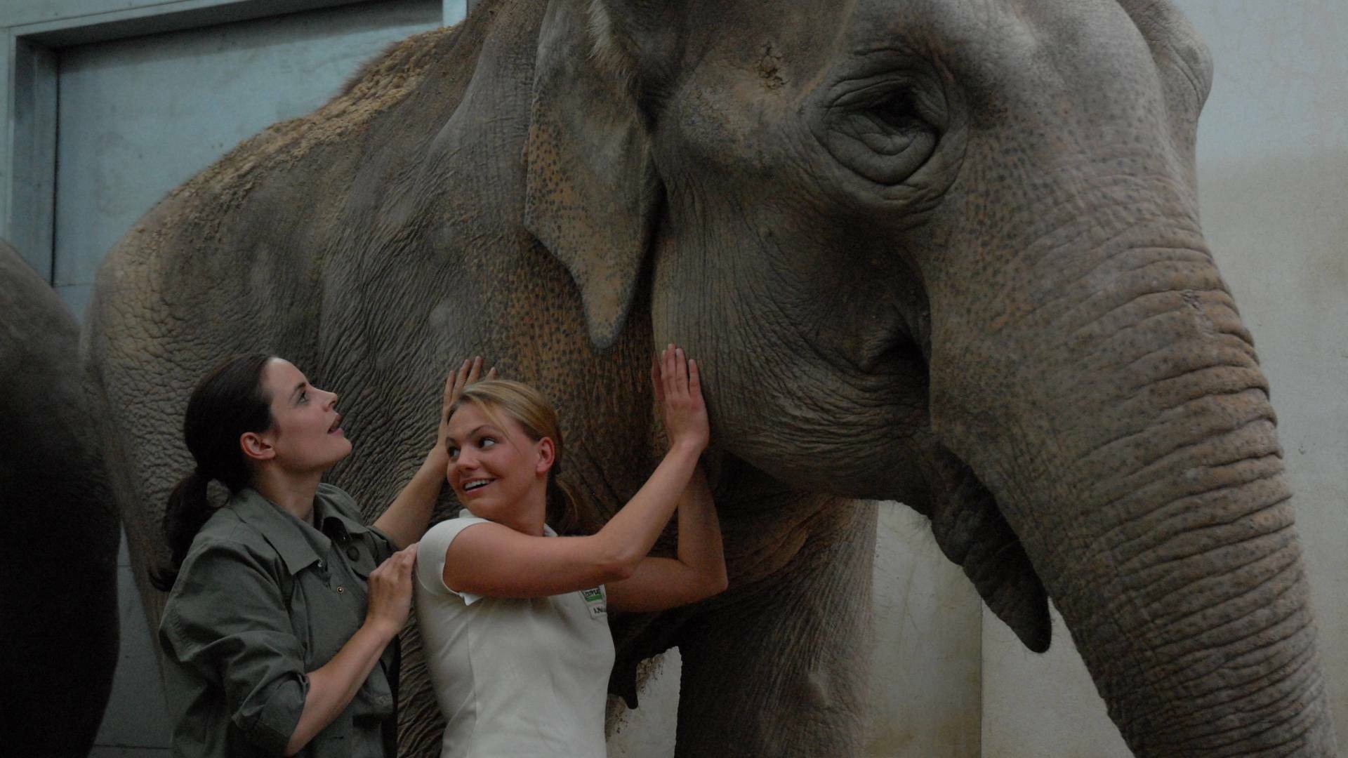 Doctora en el Zoo (T7)