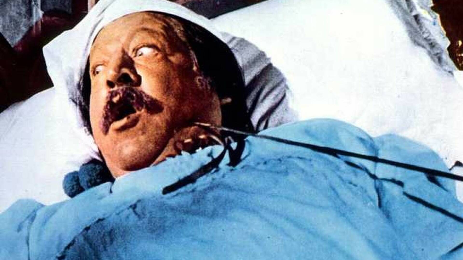 El hijo del zorro