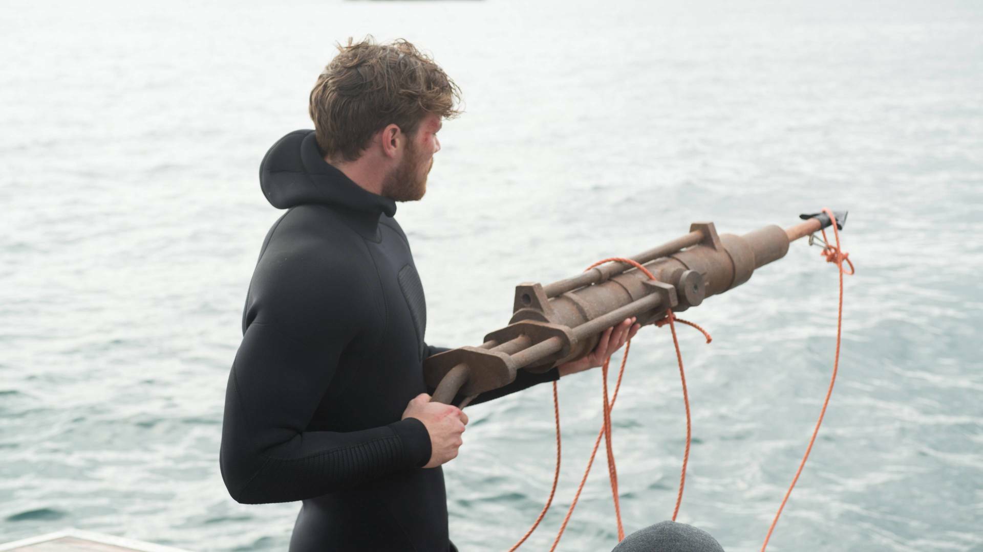Asesino de tiburones