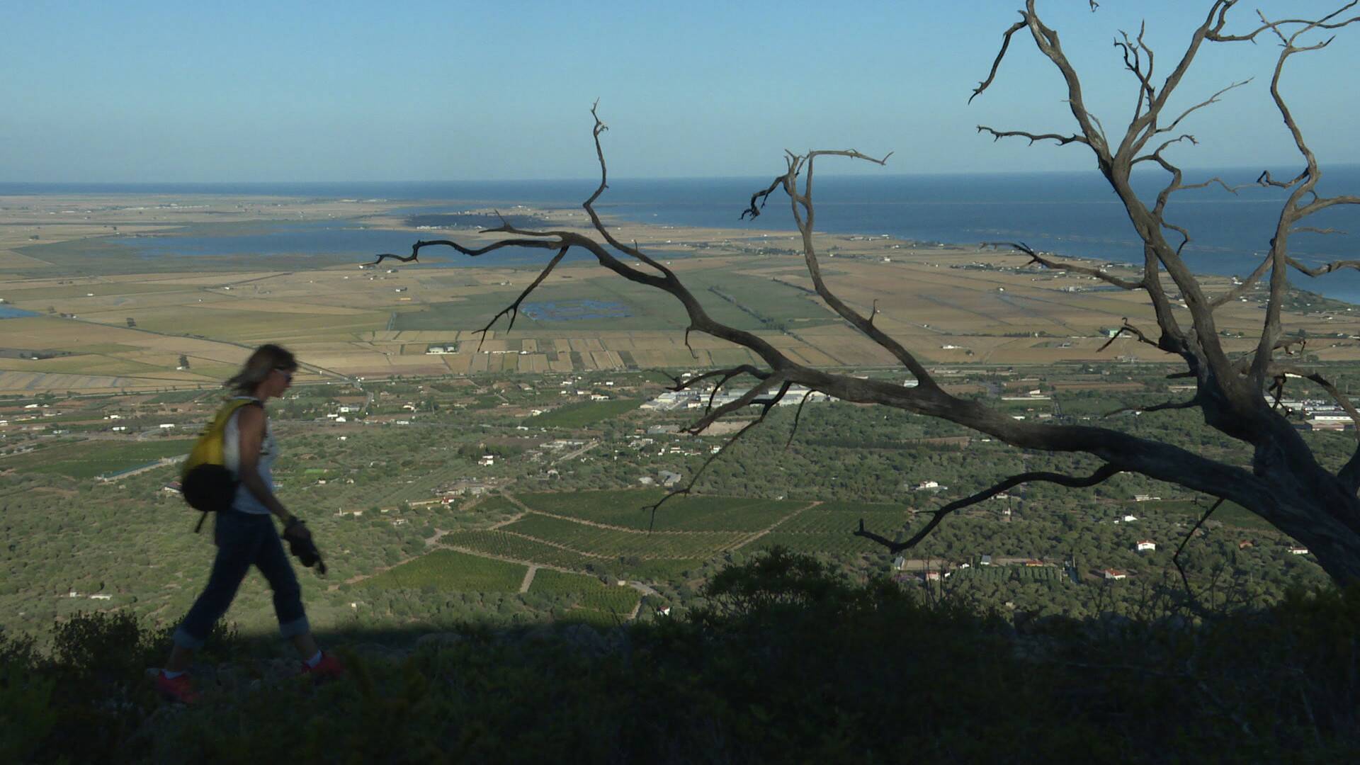 80 cm (T3): Delta del Ebro