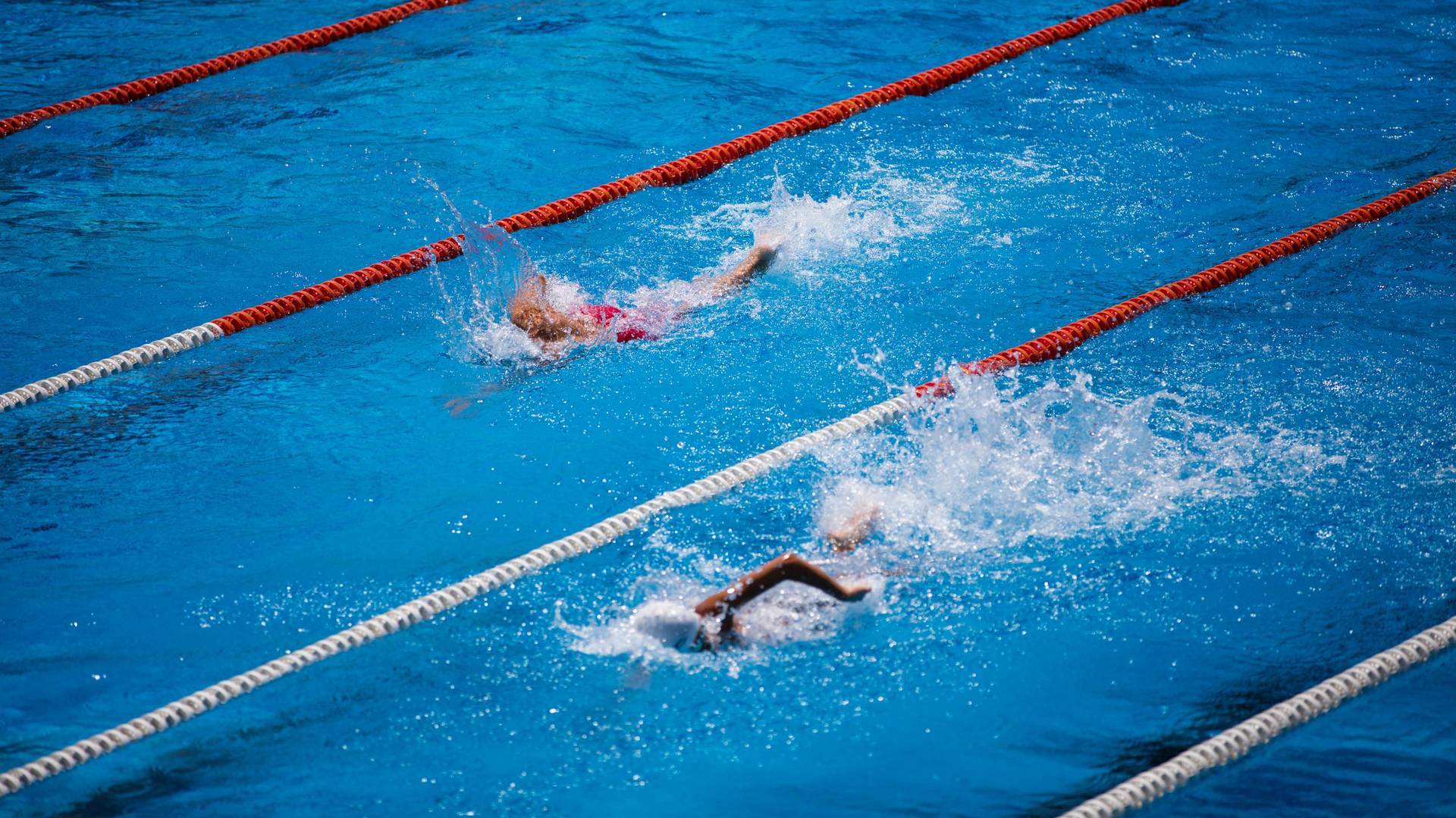 Reportajes TDP - Natación (2025)