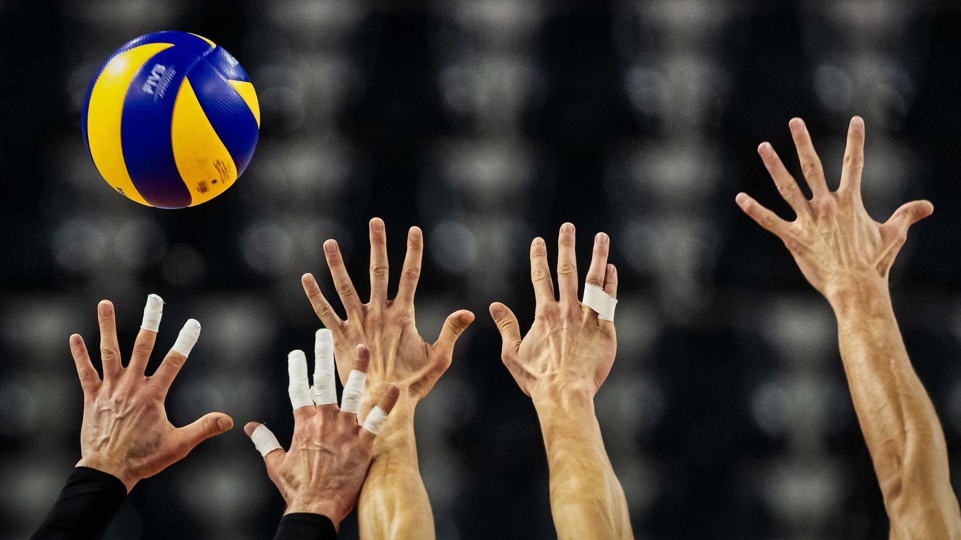 Copa del Rey de voleibol