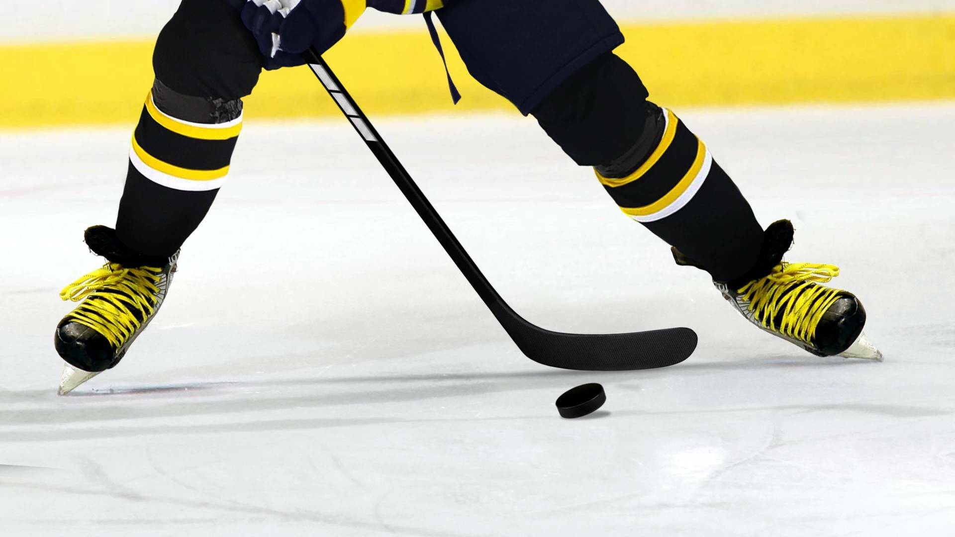 Copa de la Reina de hockey sobre hielo