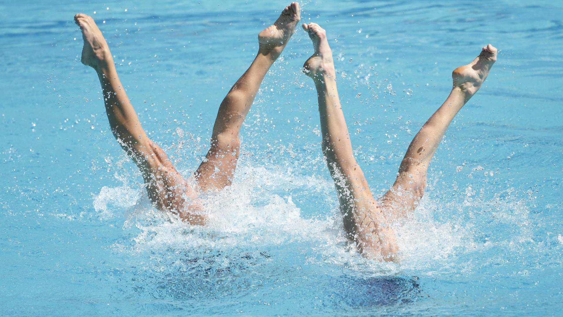 Europeo de Natación Artística