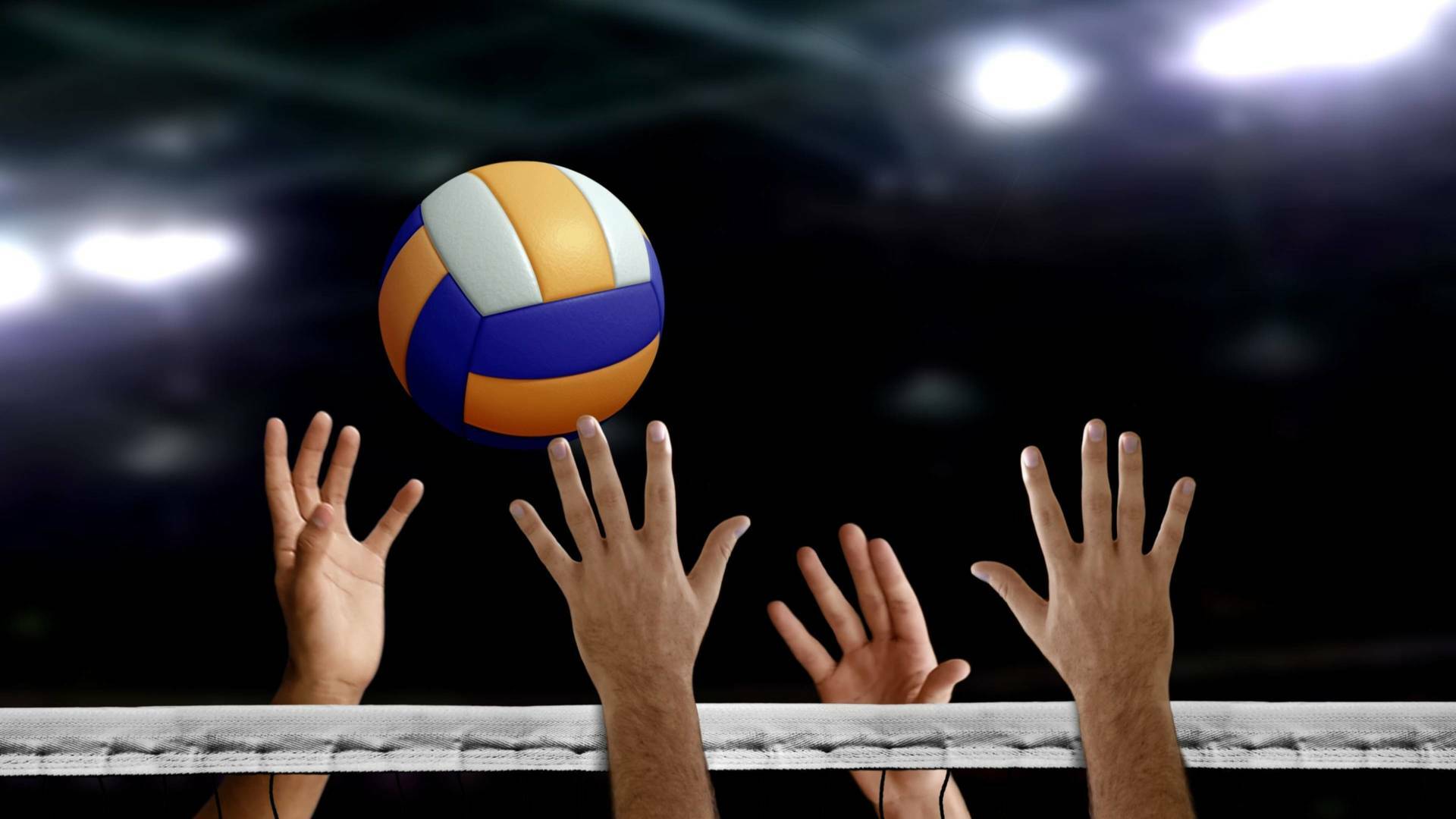 Liga europea femenina de voleibol