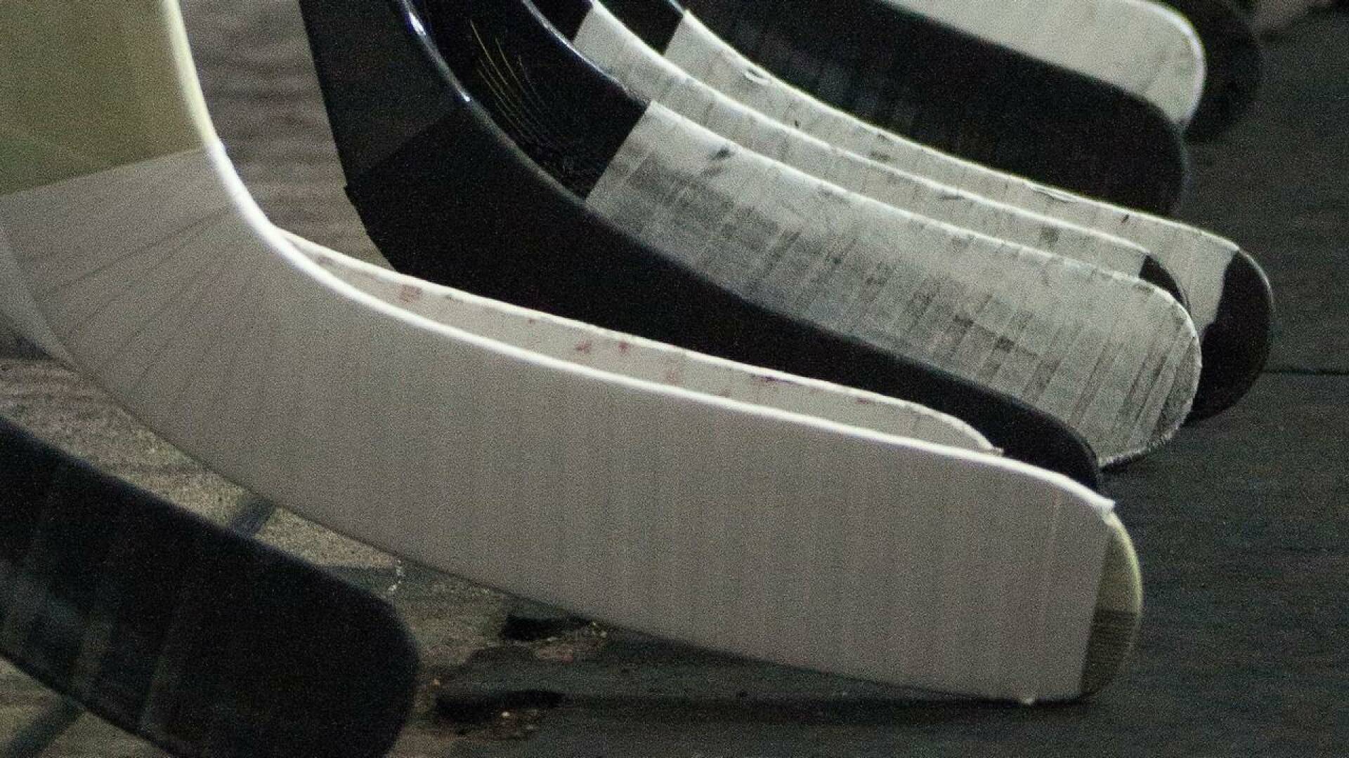 Cto. de Europa de Hockey Patines