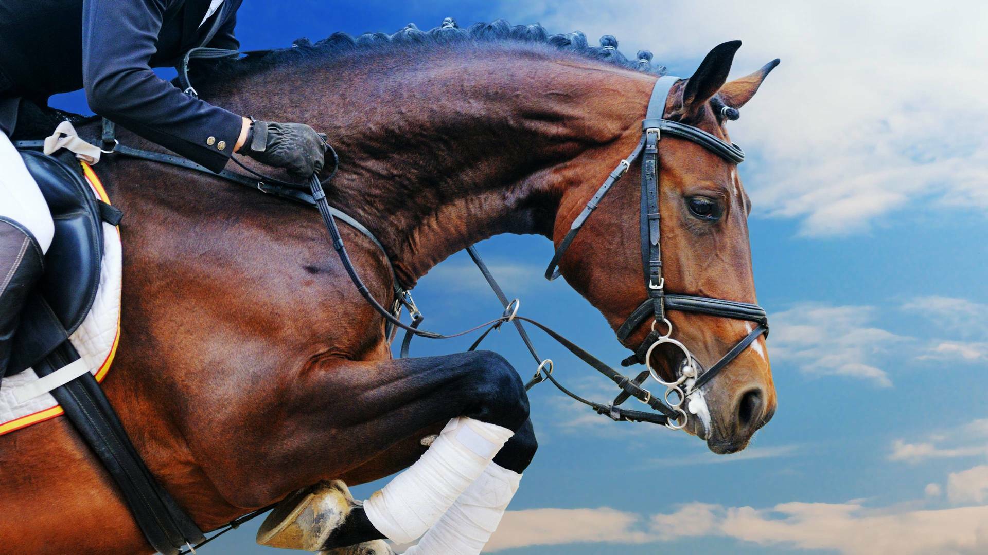 CSIO Barcelona (2025): GP Ciudad de Barcelona