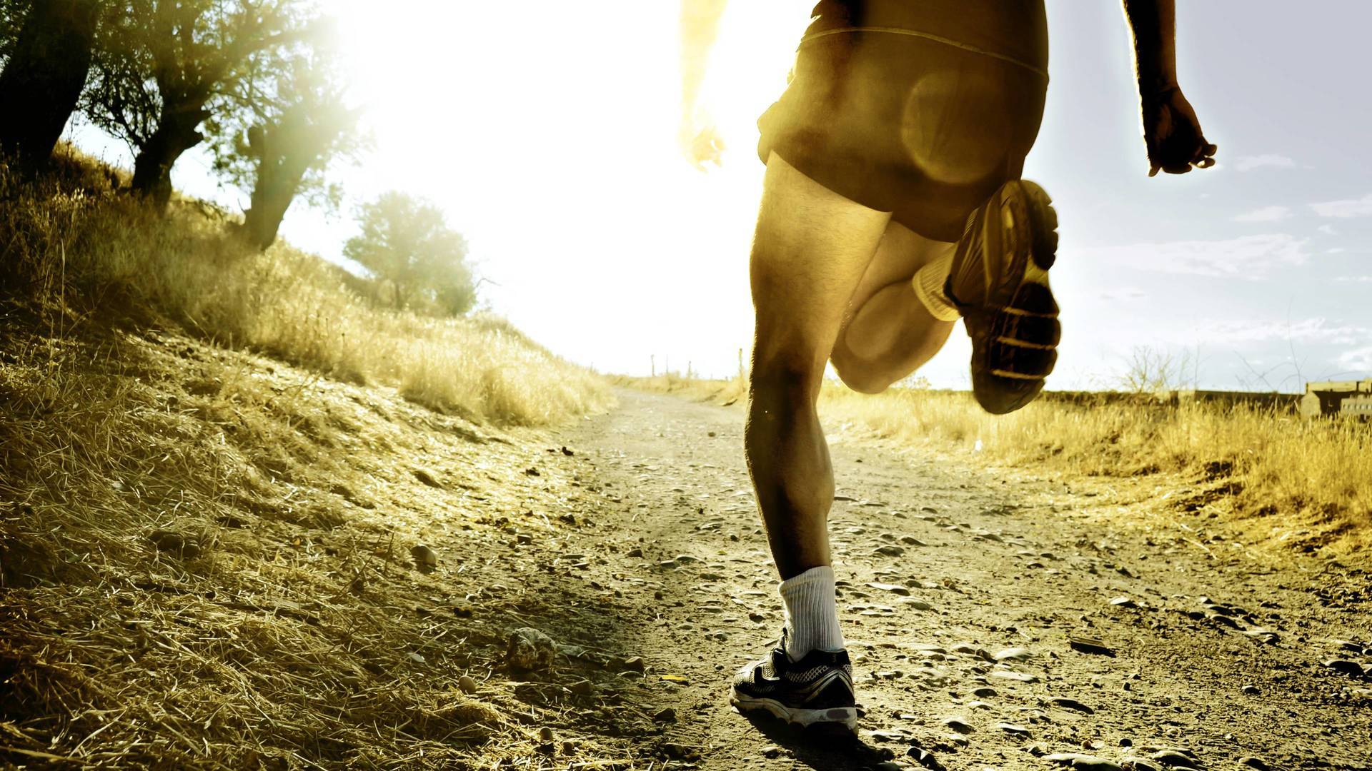 Mundial de atletismo campo a través (2026)