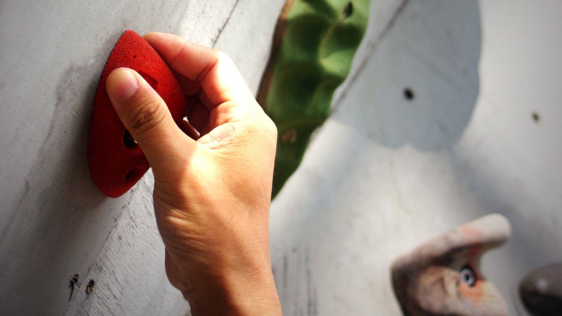 Copa de España de... (2026): Cáceres - Final Velocidad