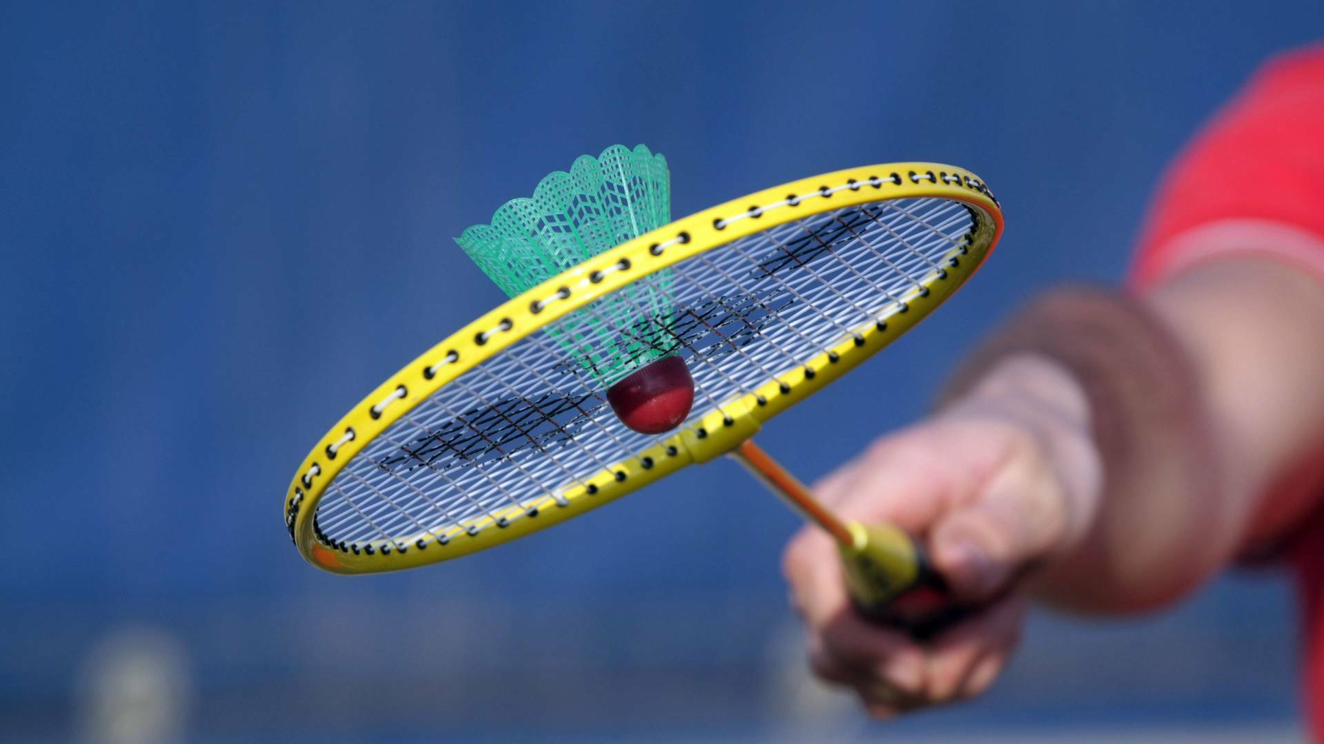 Europeo de bádminton (2026): Final