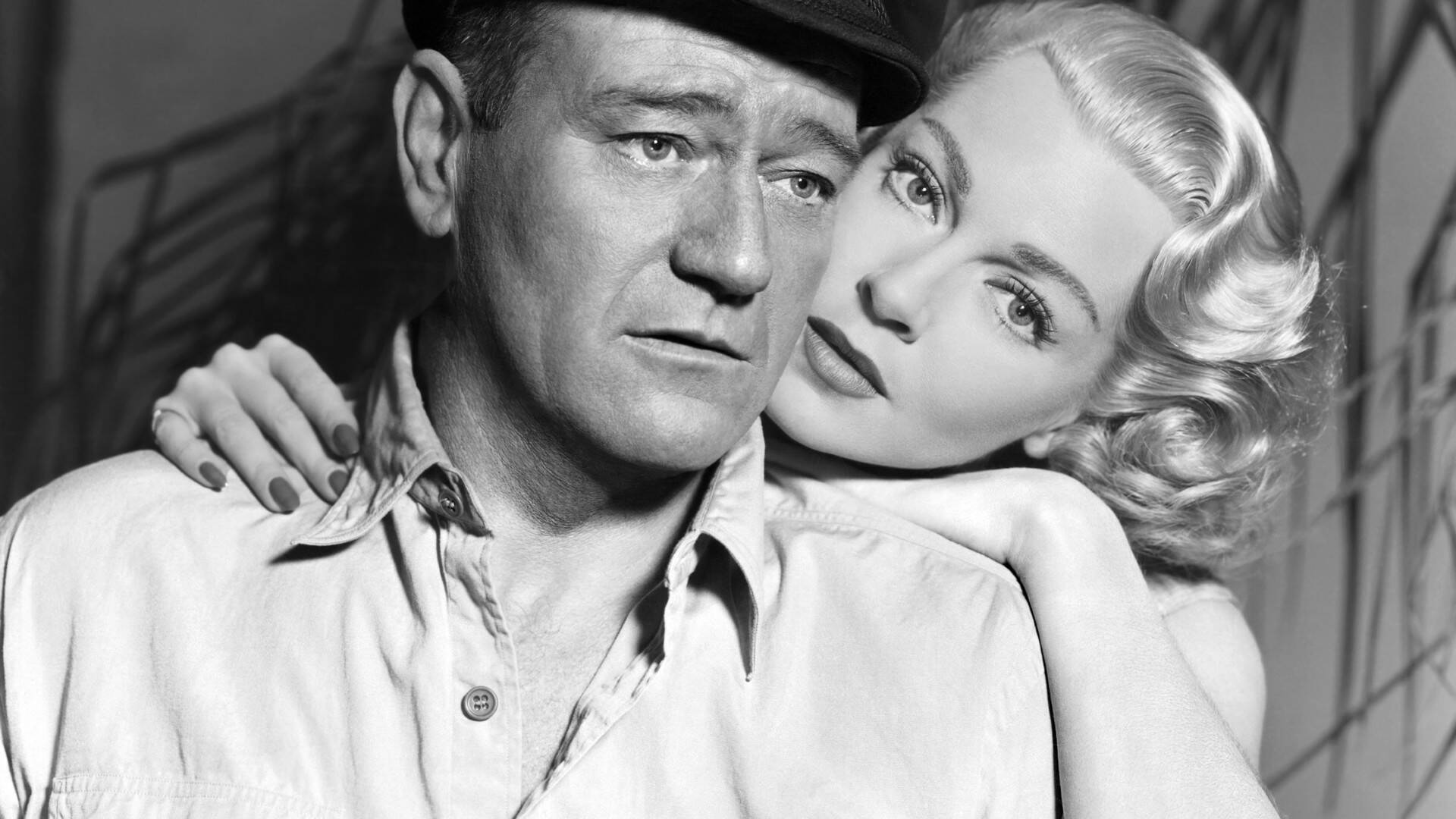 El zorro de los océanos