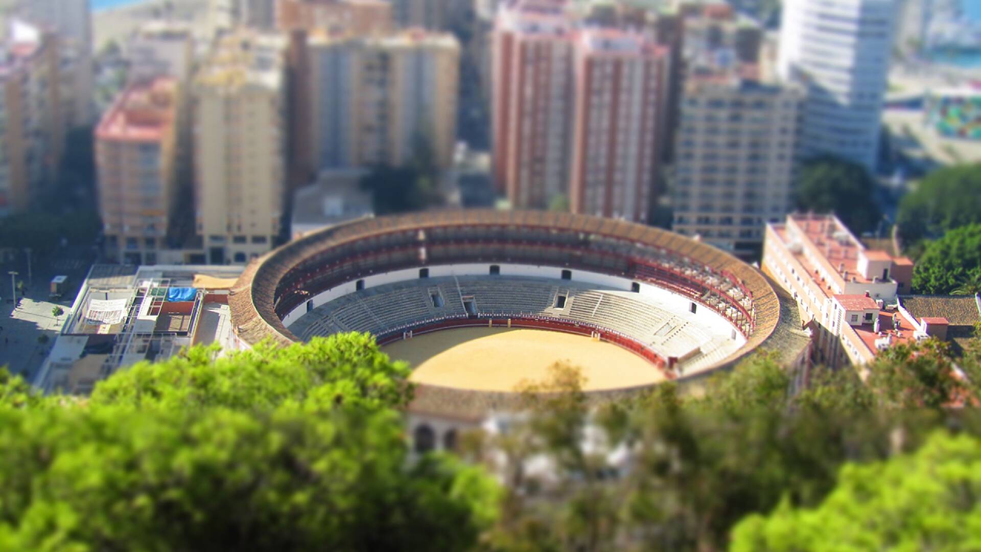 Circuito de Novilladas de la Comunidad de Madrid 2025 (T2025)