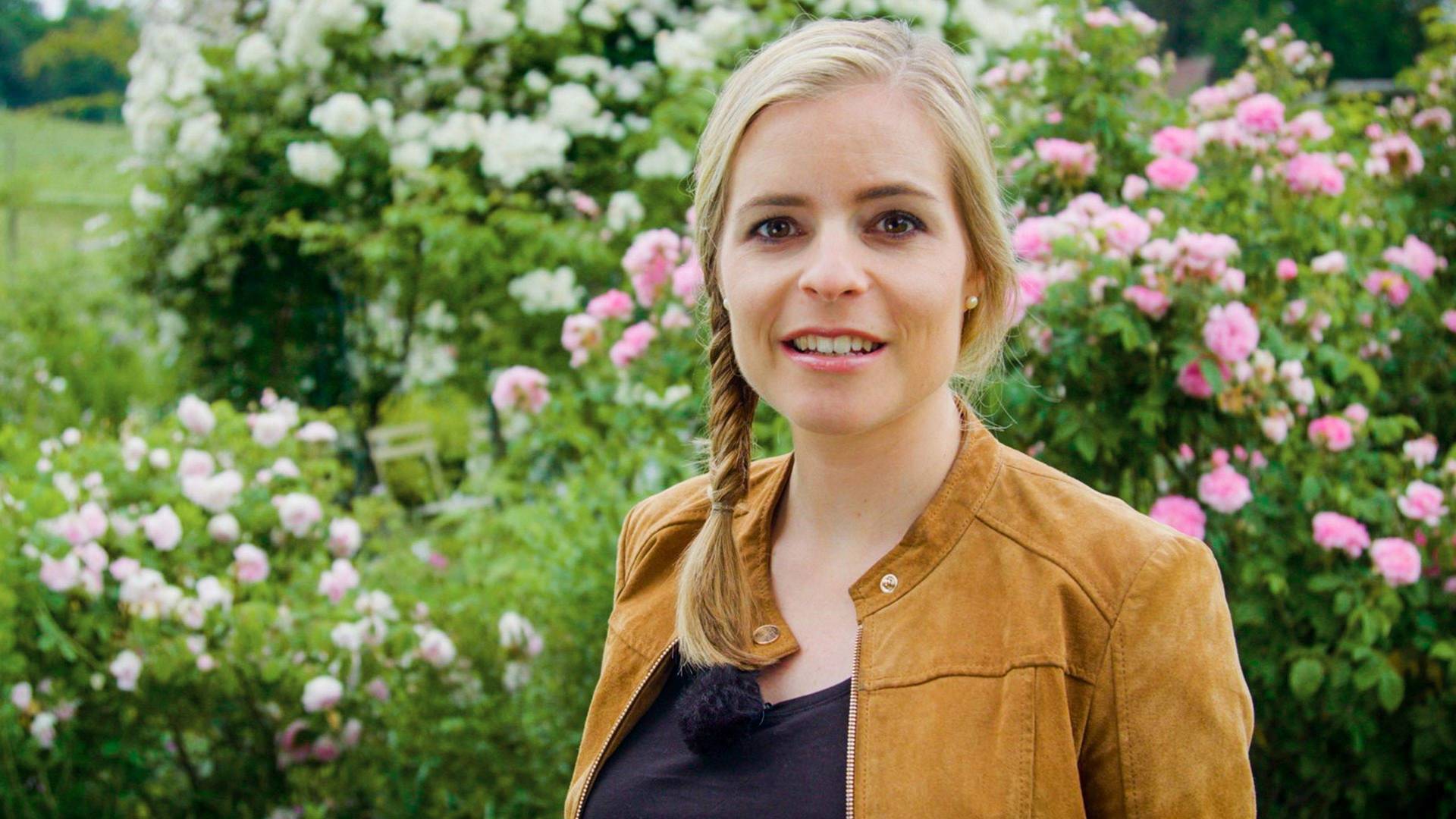 Histoire(s) de jardins