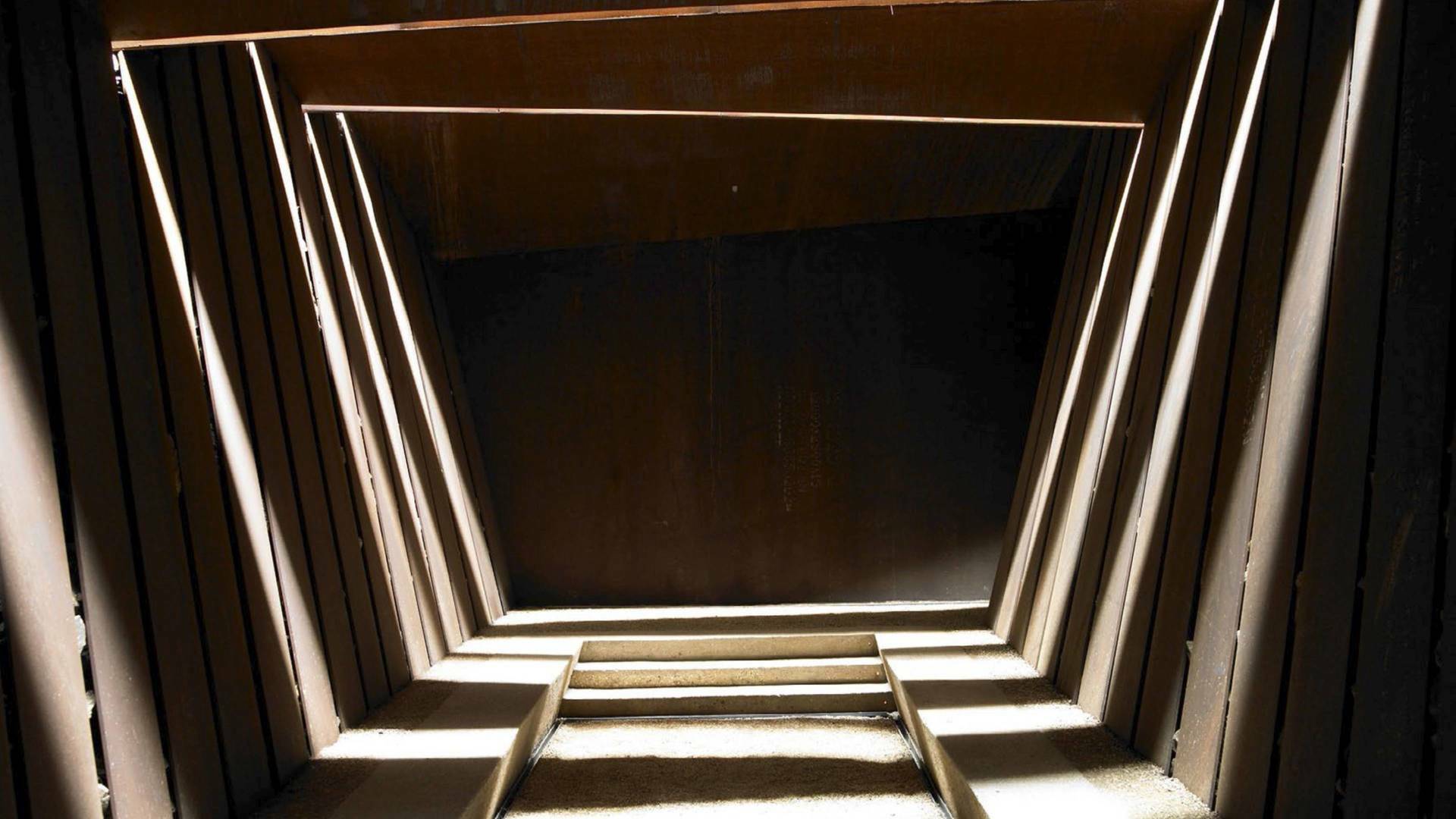 Animals arquitectes (T1): Mesura