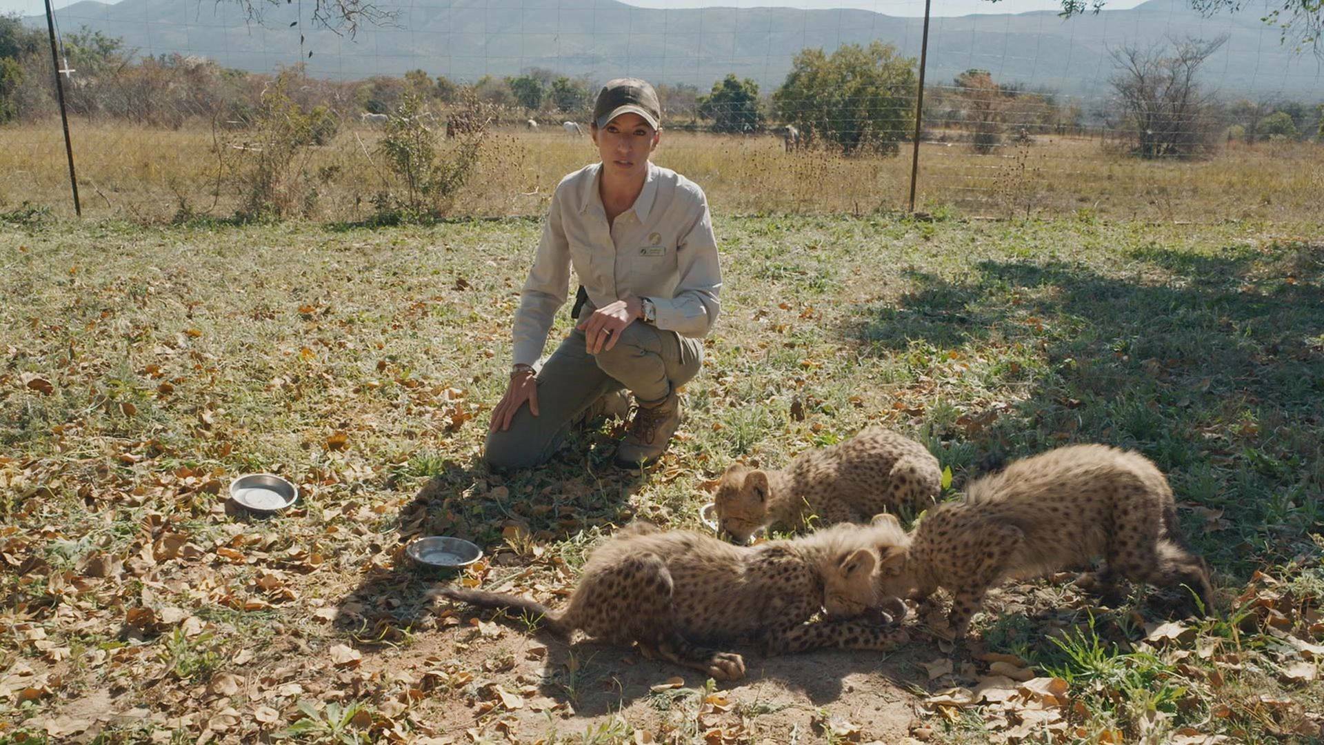 Dra. Fabiola Jones (T1): El enemigo en casa