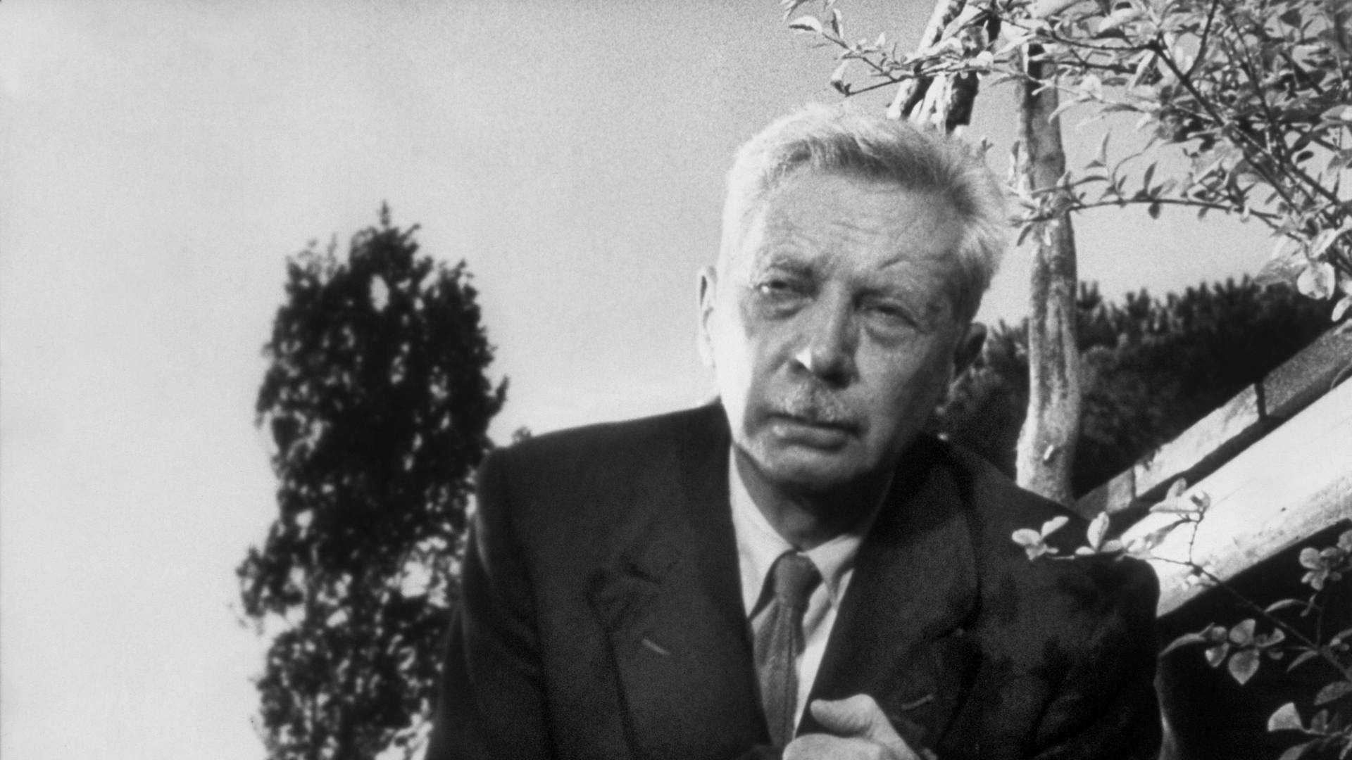 Umberto D