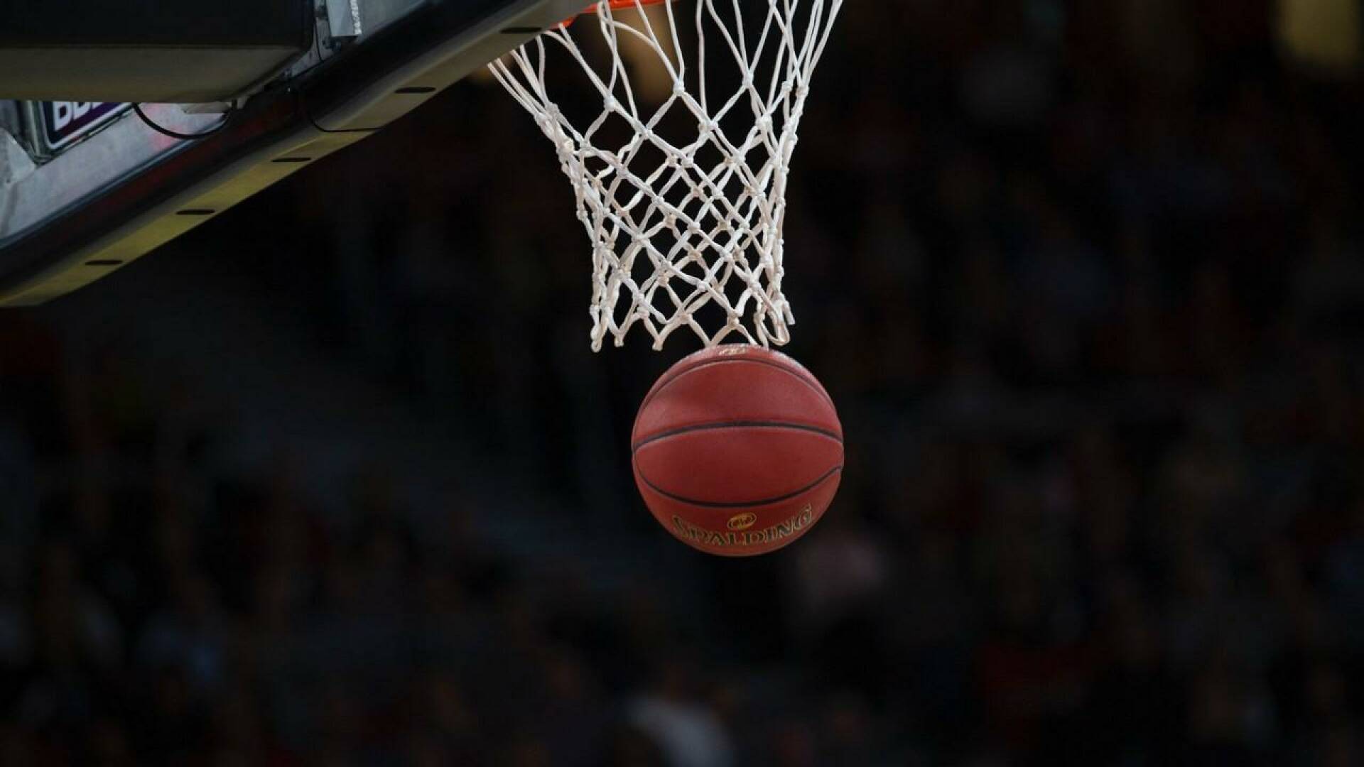 B.League Japan (24/25): Sunrockers Shibuya vs Alvark Tokyo