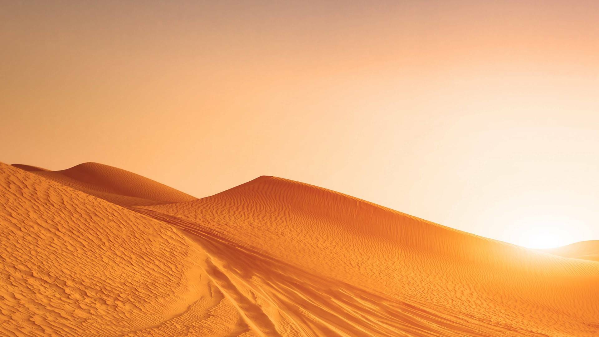 Programas Extreme E (2023): Head - To - Head Finals