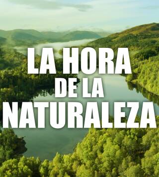 La hora de la naturaleza