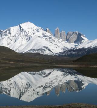 Los pumas de la Patagonia: Nacimiento