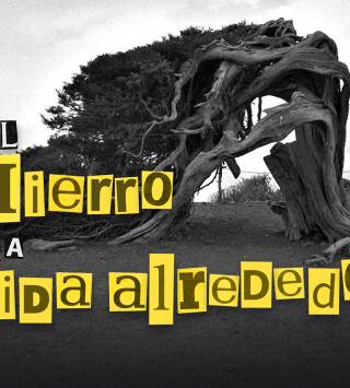 El Hierro: la vida alrededor