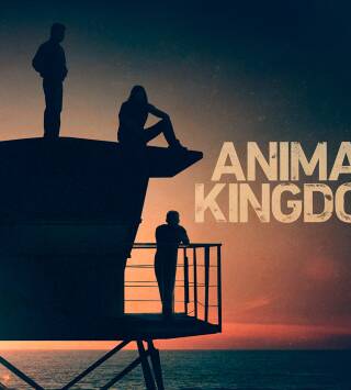 Animal Kingdom