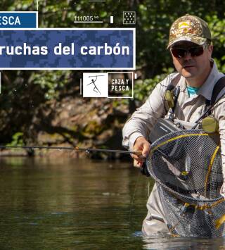 Las truchas del carbón