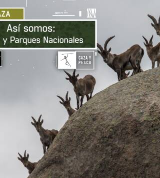  Episodio 6: Caza y Parques Nacionales