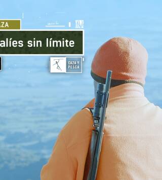 Jabalíes sin límite