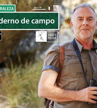 Cuaderno de campo